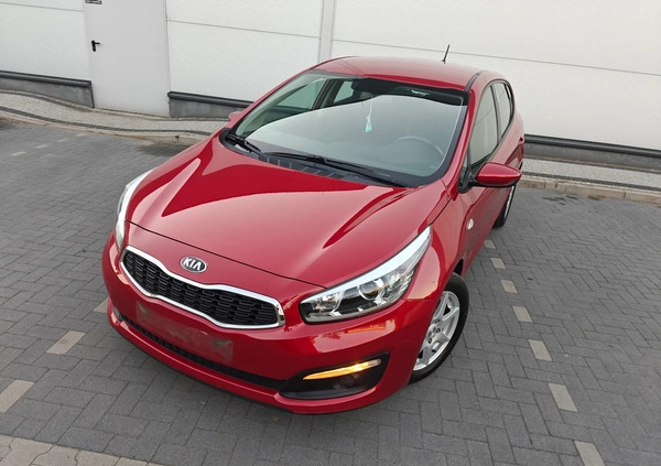 Kia Ceed cena 38900 przebieg: 156500, rok produkcji 2016 z Mieszkowice małe 631